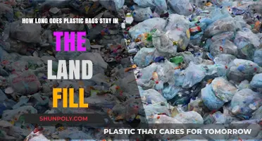 Plastic Bags in Landfills: Their Shockingly Long Environmental Lifespan
