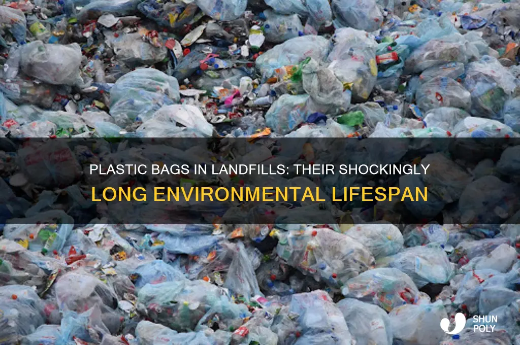 how long odes plastic bags stay in the land fill