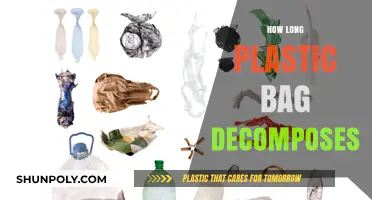 Plastic Bag Decomposition: Understanding the Shocking Environmental Lifespan