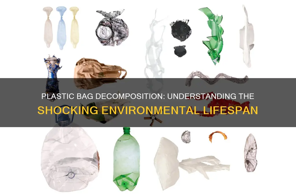 how long plastic bag decomposes