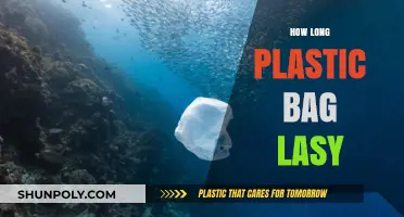 How Long Do Plastic Bags Last? Shocking Lifespan Revealed