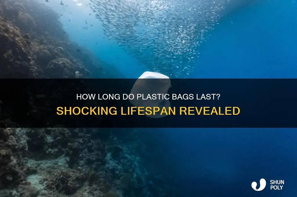 how long plastic bag lasy