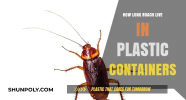 Plastic Containers: Roach Survival Guide