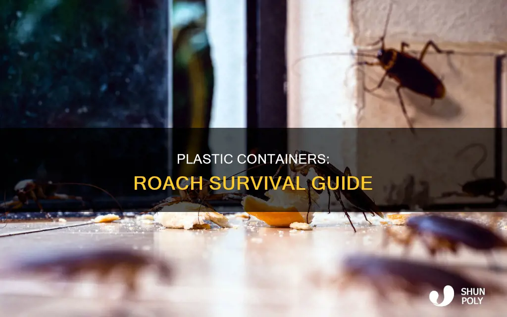 how long roach live in plastic containers