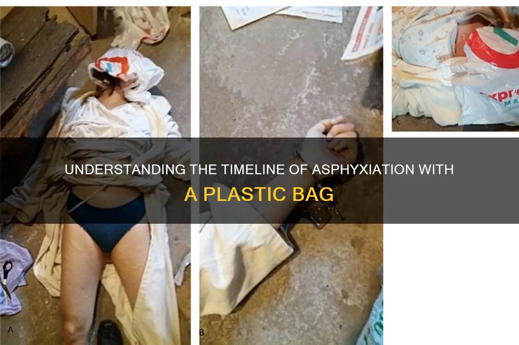 how long suicide with plastic bag takes