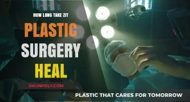 Zit Plastic Surgery Healing Time: What to Expect After Treatment