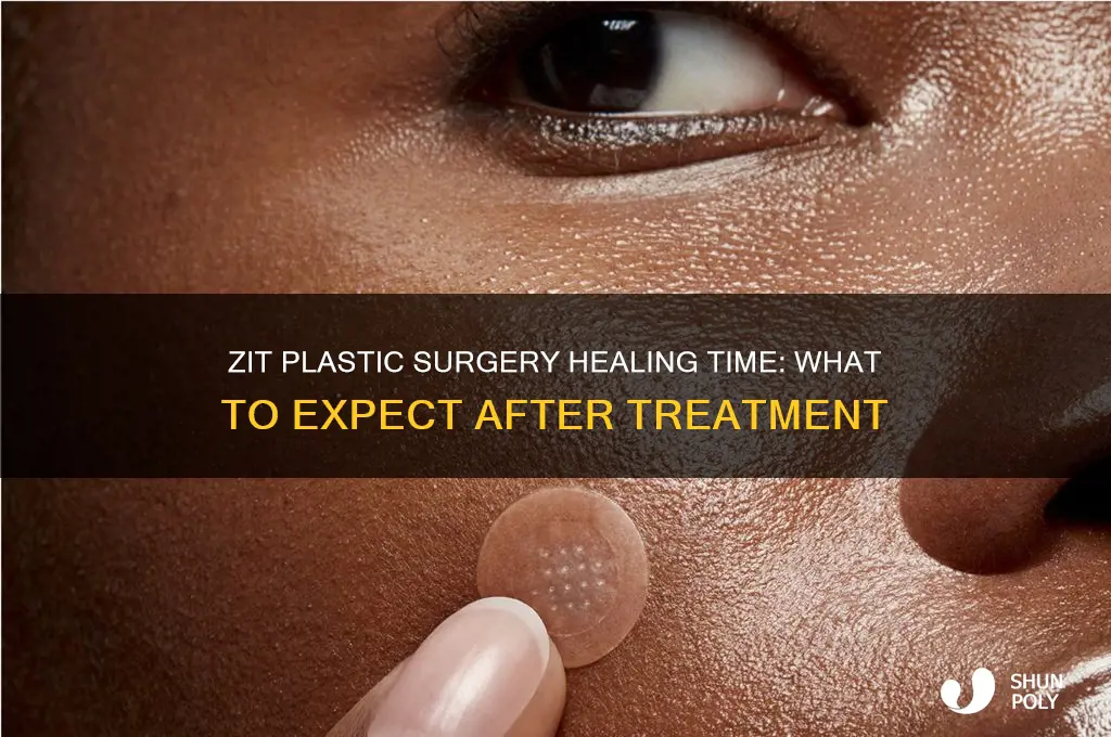 how long take zit plastic surgery heal
