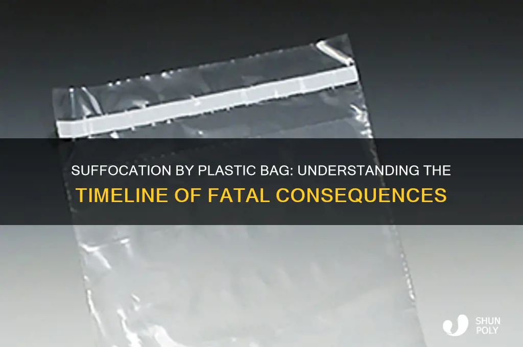 how long takes someone die plastic bag on head