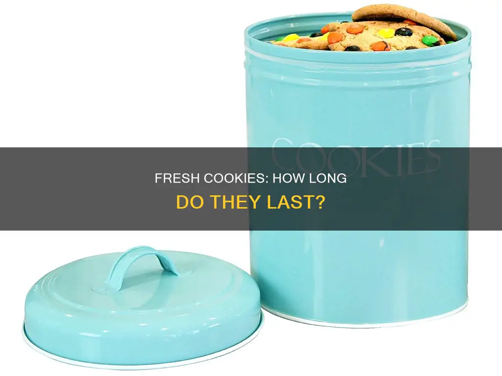 how long to cookies last in a plastic container