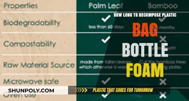 Plastic Bag, Bottle, Foam: Decomposition Timelines and Environmental Impact
