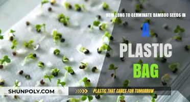 Germinating Bamboo Seeds in a Plastic Bag: Timing and Tips