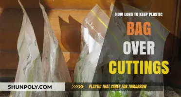 Optimal Duration for Plastic Bag Covering on Plant Cuttings