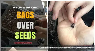 Optimal Seed Germination: Timing for Removing Plastic Bag Covers