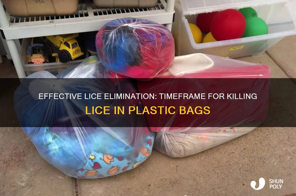 how long to kill lice in plastic bag
