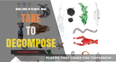 Plastic Bags' Decomposition Timeline: Understanding Their Environmental Impact
