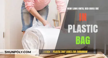 Bed Bugs in Plastic Bags: Survival Timeline and Effective Eradication Tips