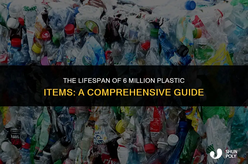 how long will 6 mil plastic last