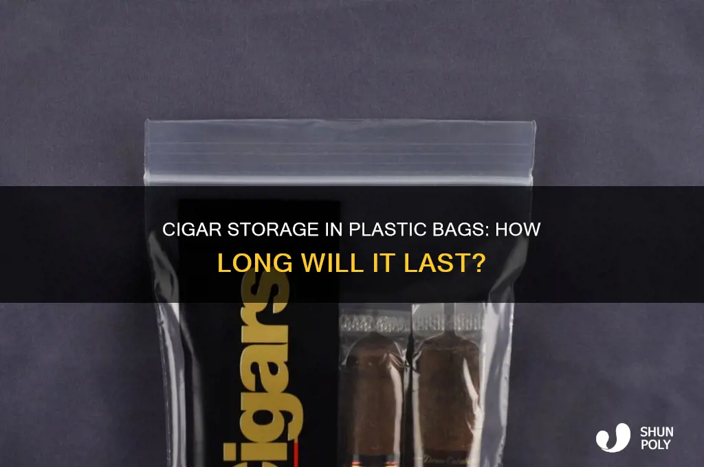 how long will a cigar last in a plastic bag