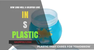 Goldfish Longevity in Plastic Containers: Facts and Myths