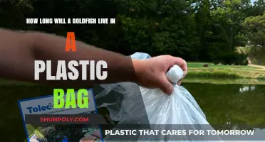 Goldfish Survival in Plastic Bags: Lifespan and Care Tips