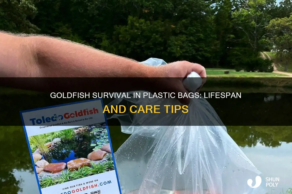 how long will a goldfish live in a plastic bag