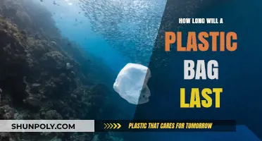 Plastic Bags' Lifespan: Understanding Their Environmental Persistence and Impact