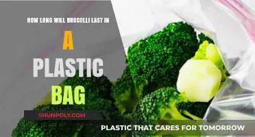 Broccoli Storage Tips: How Long Does It Last in Plastic Bags?
