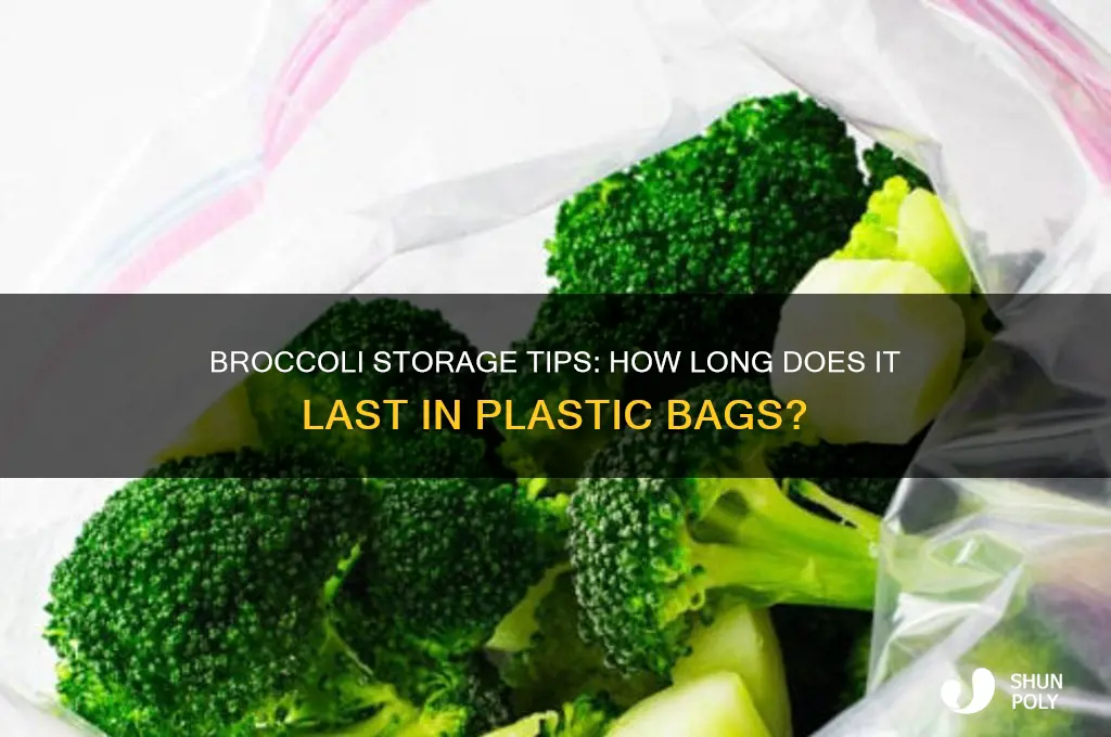 how long will brocolli last in a plastic bag