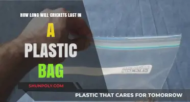 Crickets in Plastic Bags: Survival Duration and Key Factors