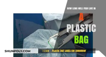 Fish in Plastic Bags: Survival Time and Ethical Considerations