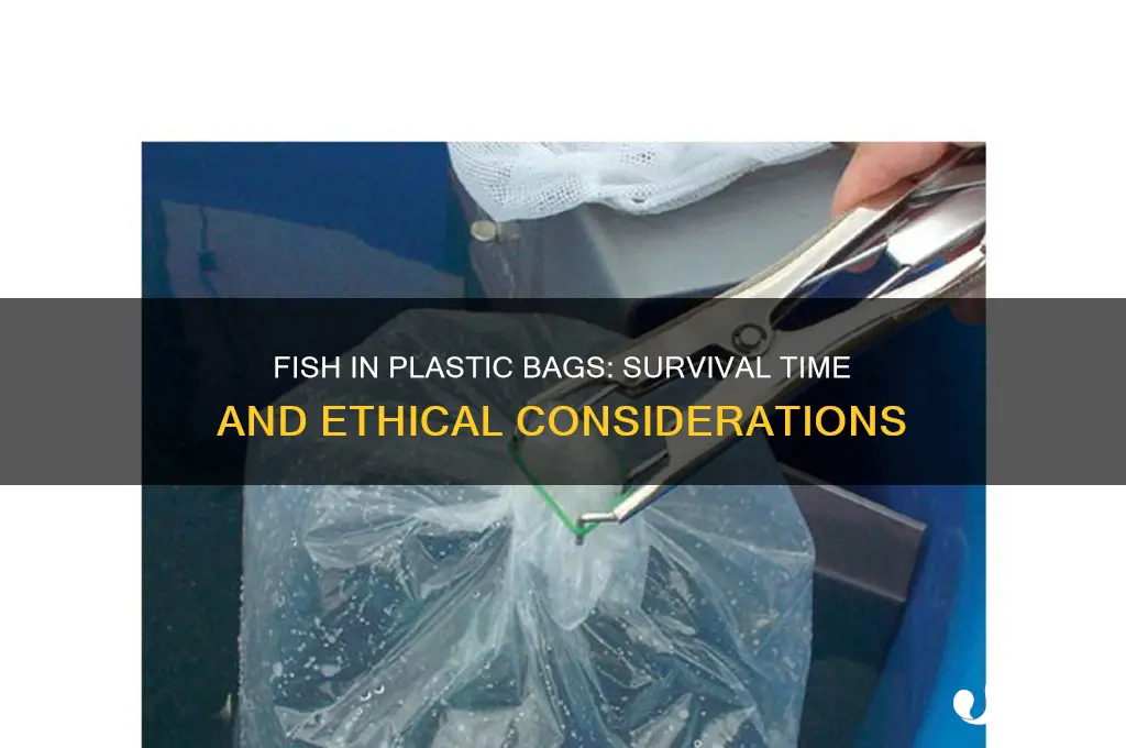 how long will fish live in a plastic bag