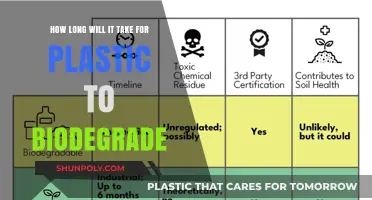 The Lengthy Journey of Plastic Biodegradation: A Timeline