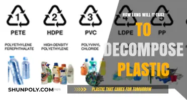 Unraveling the Timeline: Plastic's Journey to Decomposition