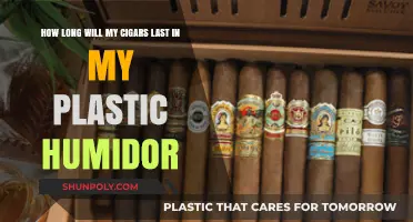 Preserving Perfection: The Lifespan of Cigars in Plastic Humidors