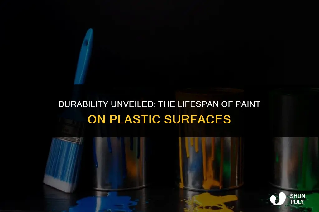 how long will paint stay on plastic if painted