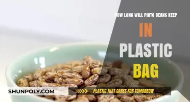 Pinto Beans Storage: Shelf Life in Plastic Bags Explained