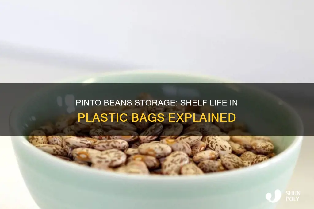 how long will pinto beans keep in plastic bag