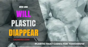 The Persistent Problem: How Long Will Plastic Diapers Linger?