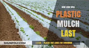 Durability Unveiled: The Lifespan of Plastic Mulch in Your Garden