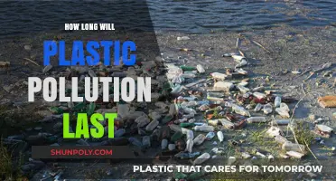 The Enduring Impact: How Long Will Plastic Pollution Last?