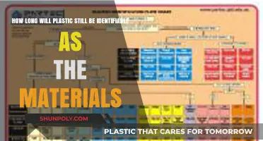 The Enduring Legacy of Plastic: A Material's Timeless Imprint