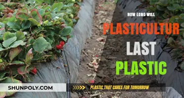 The Future of Plasticulture: A Sustainable Solution or a Plastic Problem?