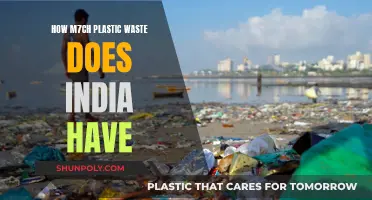 India's Plastic Waste Crisis: A Growing Concern