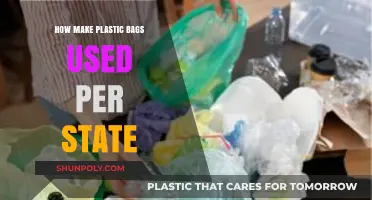 State-by-State Guide: Reusing Plastic Bags for Sustainable Living