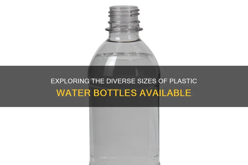how mant sizes do plastic water bottles come in