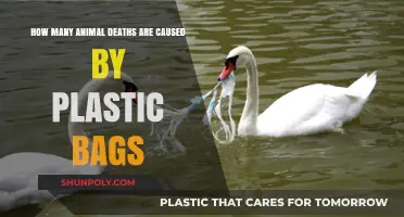 Plastic Bags' Deadly Impact: Counting Animal Lives Lost Annually