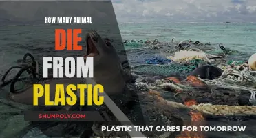 Plastic Pollution: Killing Animals, Destroying Nature