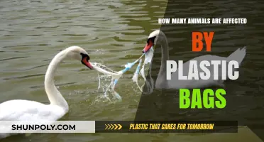 Plastic Bags' Deadly Impact: Countless Animals Affected Globally