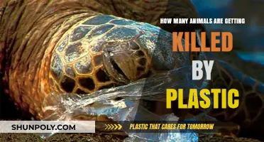 Plastic's Deadly Impact: How Many Animals Are Losing Their Lives?
