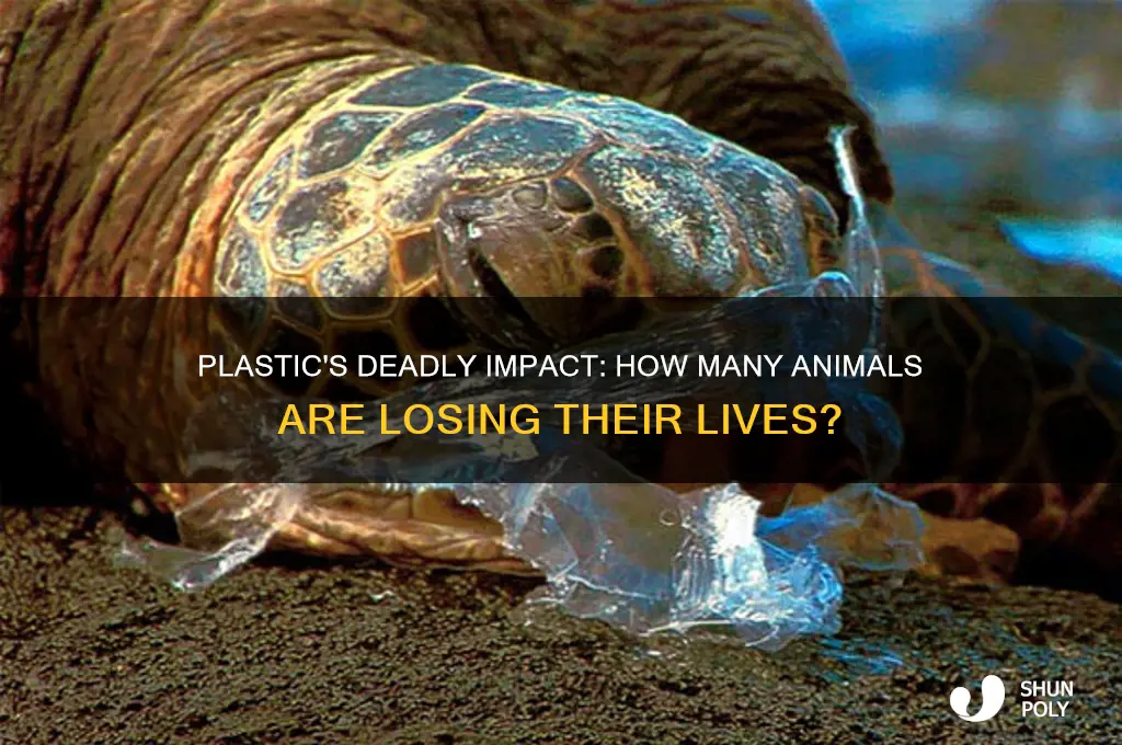 how many animals are getting killed by plastic